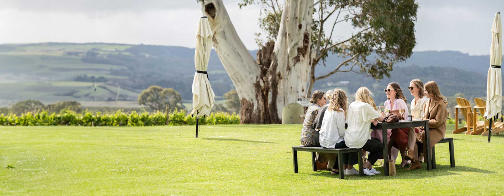 <br>
<h1><span style="color:#ffffff;">Enjoy Easter with your family <br>at our Cellar Door</span></h1>