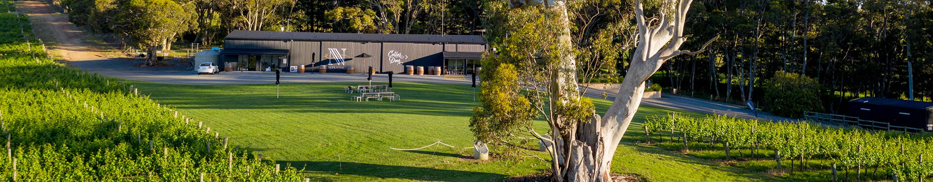 Nepenthe Cellar Door Rebuild Announced