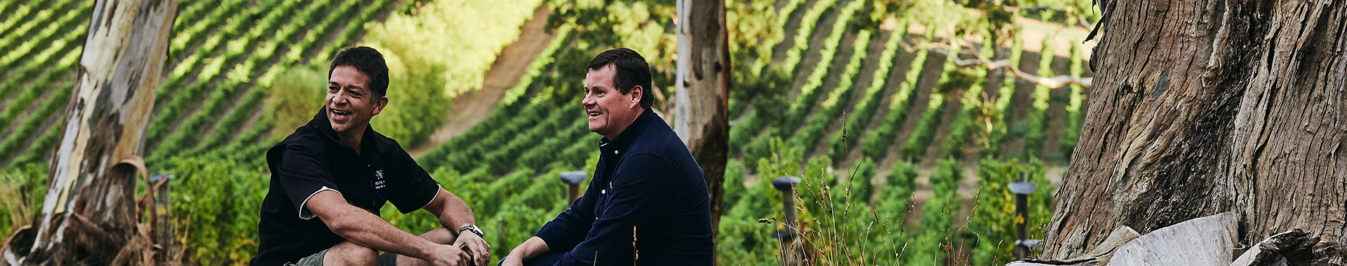 Two Men sitting in a vineyard talking and smiling